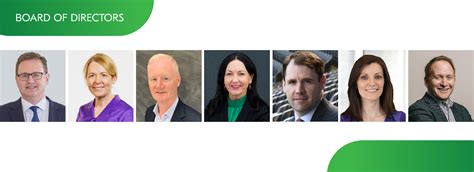 lv board of directors|wh ireland board of directors.